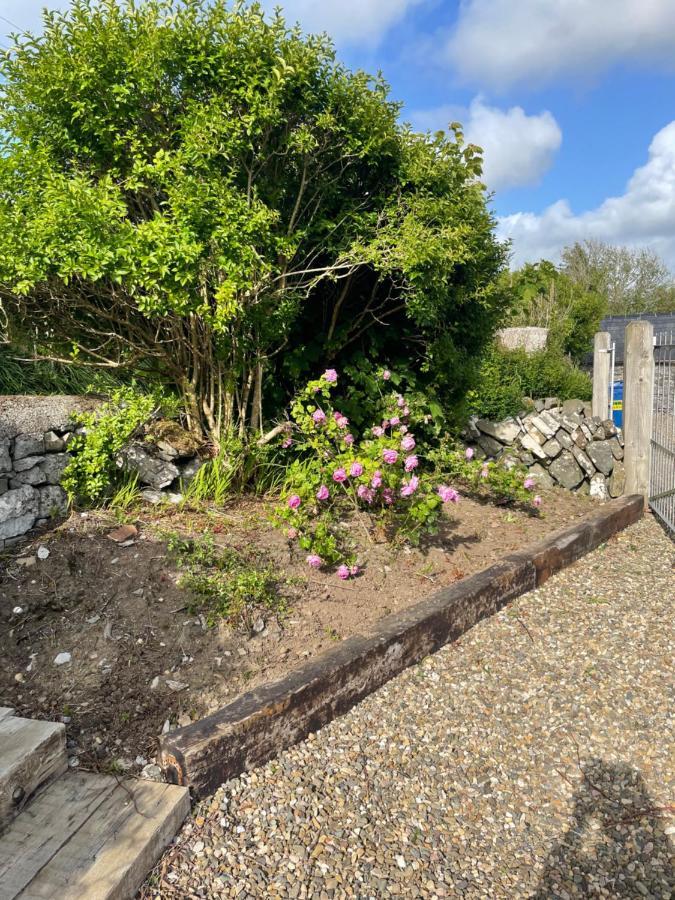 Lakeside Lodge Kilfenora Esterno foto